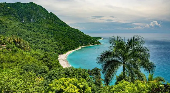 La jungle tropicale de Barahona